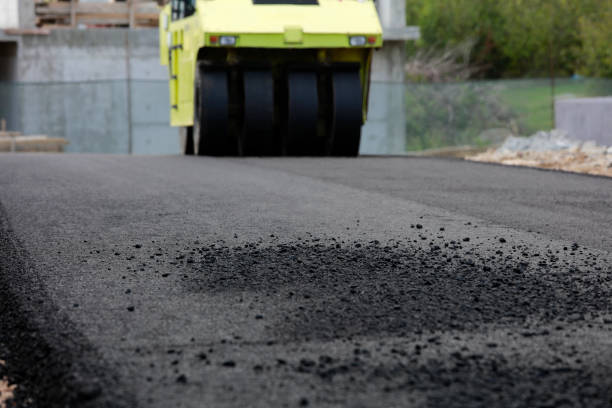 Best Residential Driveway Paver Services  in Lake Wales, FL